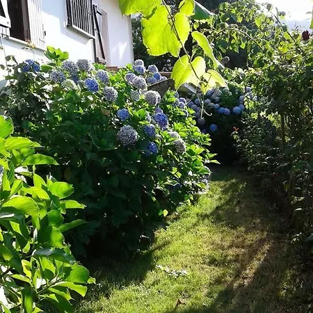 House - 4 Bedrooms - 9468 * Noia